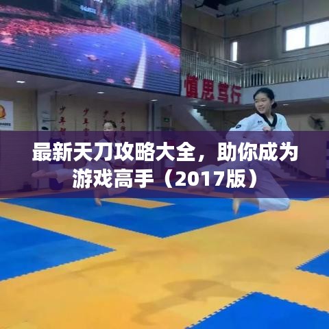 最新天刀攻略大全，助你成为游戏高手（2017版）