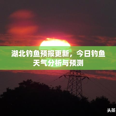 湖北钓鱼预报更新，今日钓鱼天气分析与预测