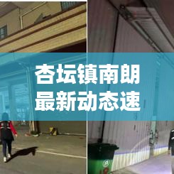 杏坛镇南朗最新动态速递