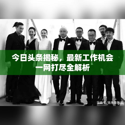 今日头条揭秘，最新工作机会一网打尽全解析