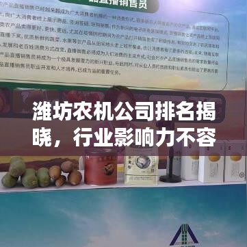 潍坊农机公司排名揭晓，行业影响力不容小觑