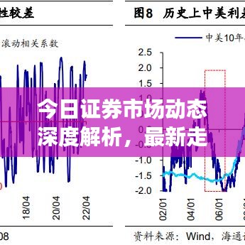 今日证券市场动态深度解析，最新走势与策略应对