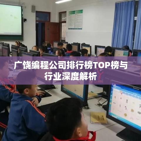 广饶编程公司排行榜TOP榜与行业深度解析