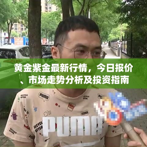 黄金紫金最新行情，今日报价、市场走势分析及投资指南