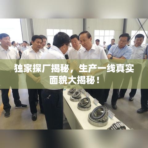 独家探厂揭秘，生产一线真实面貌大揭秘！