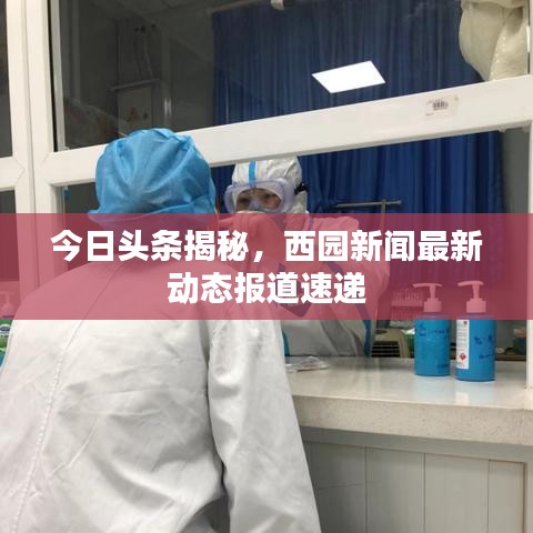 今日头条揭秘，西园新闻最新动态报道速递