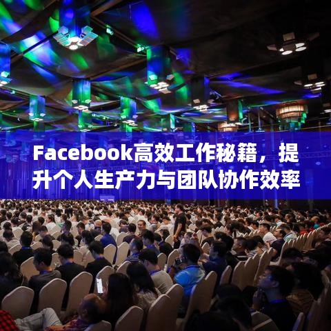 Facebook高效工作秘籍，提升个人生产力与团队协作效率的秘诀