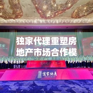 独家代理重塑房地产市场合作模式，中介引领新篇章