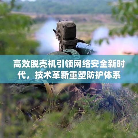 高效脱壳机引领网络安全新时代，技术革新重塑防护体系