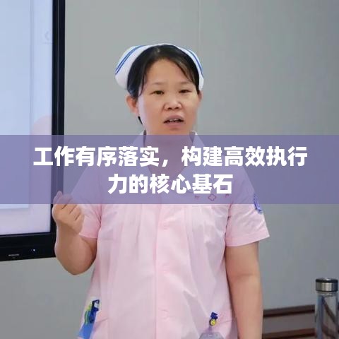 工作有序落实，构建高效执行力的核心基石