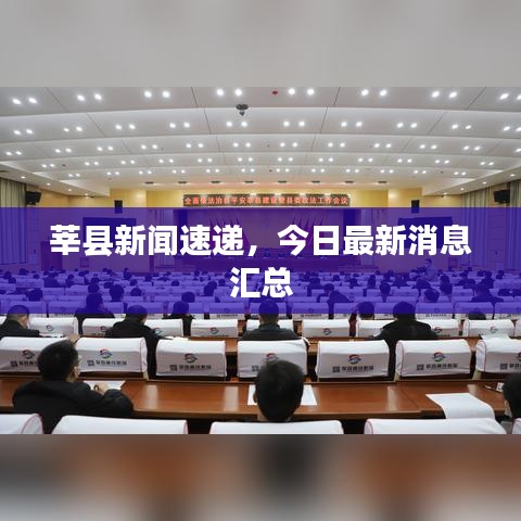 莘县新闻速递，今日最新消息汇总