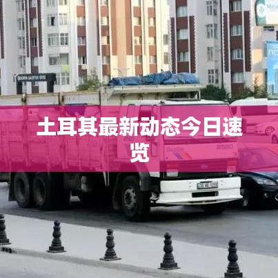 土耳其最新动态今日速览