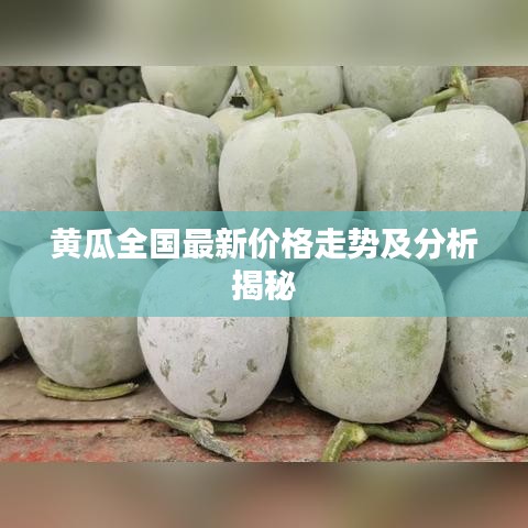 黄瓜全国最新价格走势及分析揭秘