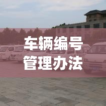 车辆编号管理办法深度解读，最新规定全解析