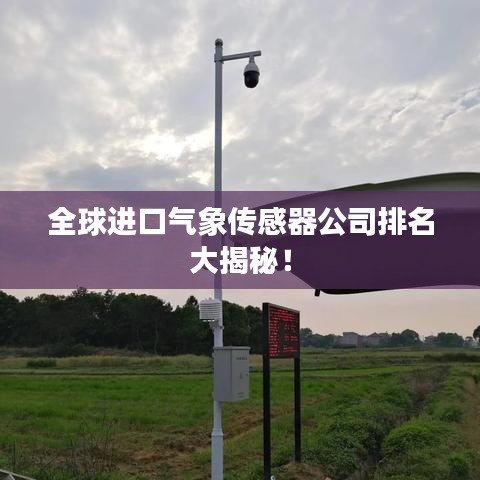 全球进口气象传感器公司排名大揭秘！
