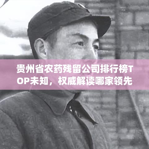 贵州省农药残留公司排行榜TOP未知，权威解读哪家领先！