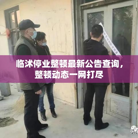 临沭停业整顿最新公告查询，整顿动态一网打尽