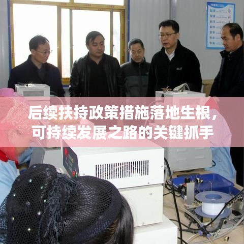 后续扶持政策措施落地生根，可持续发展之路的关键抓手