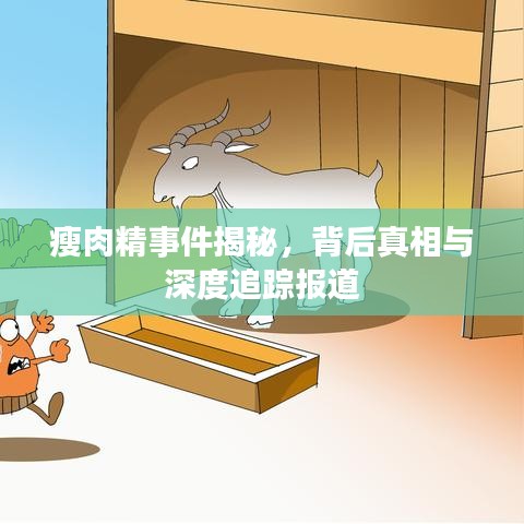 瘦肉精事件揭秘，背后真相与深度追踪报道