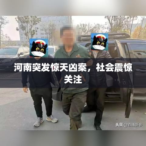 河南突发惊天凶案，社会震惊关注
