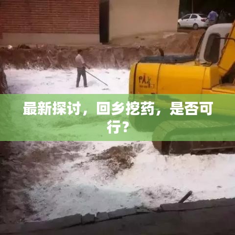 最新探讨，回乡挖药，是否可行？