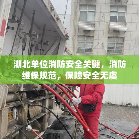 湖北单位消防安全关键，消防维保规范，保障安全无虞