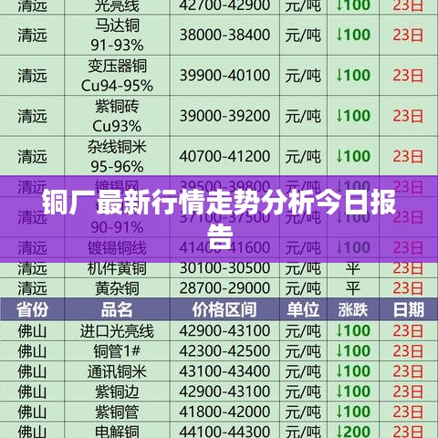 铜厂最新行情走势分析今日报告