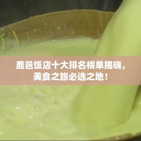 鹿邑饭店十大排名榜单揭晓，美食之旅必选之地！