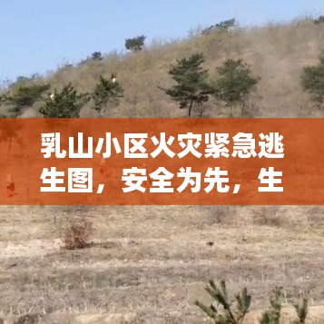 乳山小区火灾紧急逃生图，安全为先，生命至上