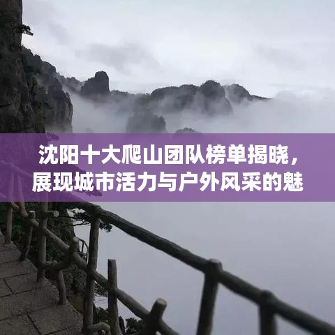 沈阳十大爬山团队榜单揭晓，展现城市活力与户外风采的魅力团队！