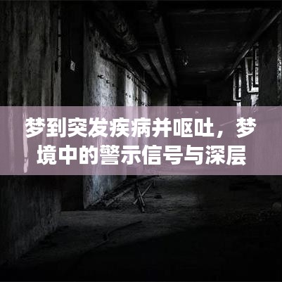梦到突发疾病并呕吐，梦境中的警示信号与深层情感解读揭秘！