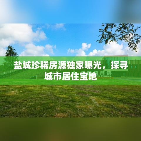 盐城珍稀房源独家曝光，探寻城市居住宝地