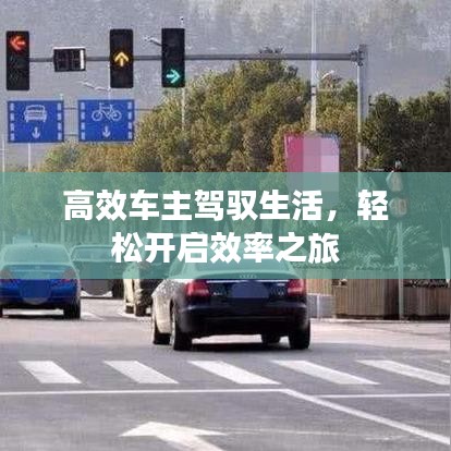高效车主驾驭生活，轻松开启效率之旅