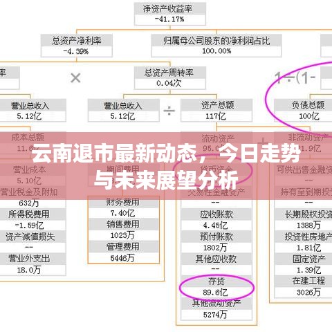 云南退市最新动态，今日走势与未来展望分析
