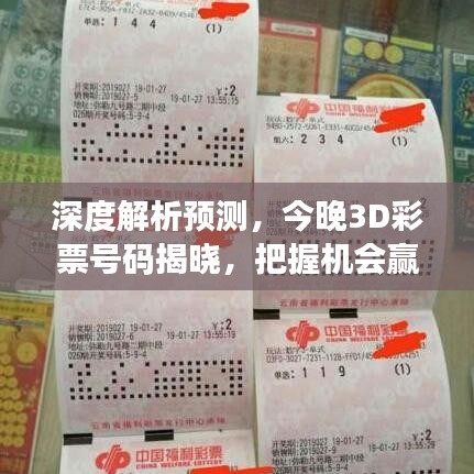 深度解析预测，今晚3D彩票号码揭晓，把握机会赢大奖！