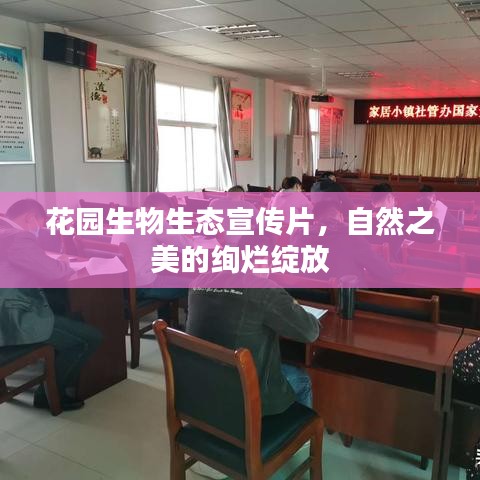 花园生物生态宣传片，自然之美的绚烂绽放