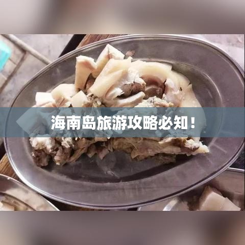 海南岛旅游攻略必知！