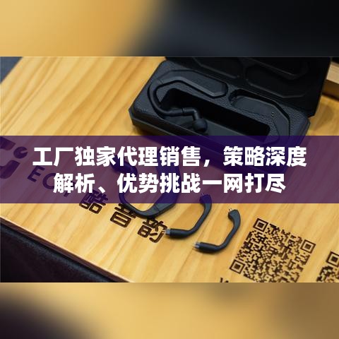工厂独家代理销售，策略深度解析、优势挑战一网打尽