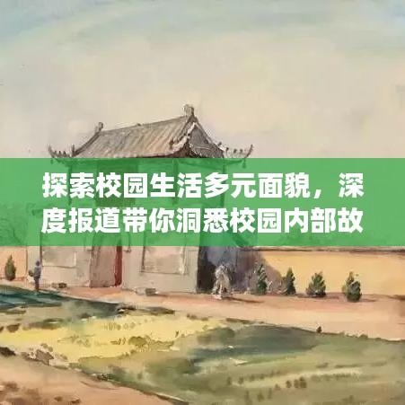 探索校园生活多元面貌，深度报道带你洞悉校园内部故事
