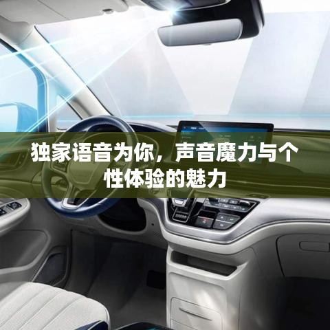 独家语音为你，声音魔力与个性体验的魅力