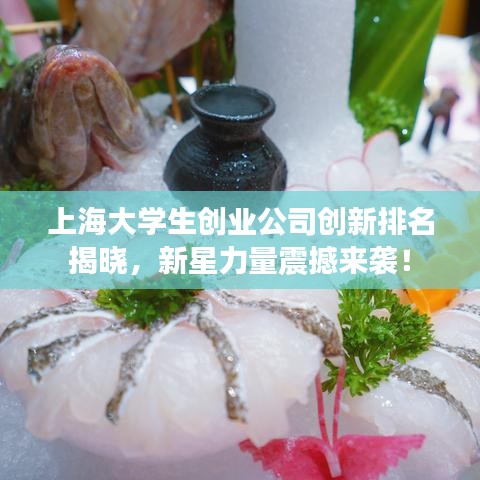 上海大学生创业公司创新排名揭晓，新星力量震撼来袭！