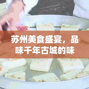 苏州美食盛宴，品味千年古城的味觉之旅