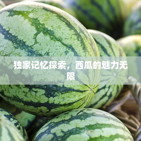 独家记忆探索，西瓜的魅力无限