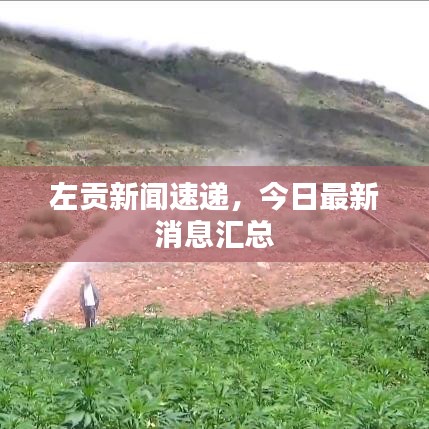 左贡新闻速递，今日最新消息汇总