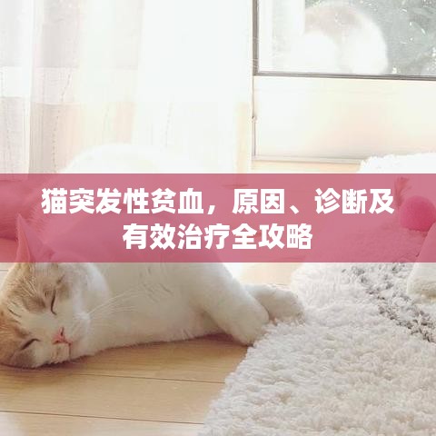 张惶失措 第2页