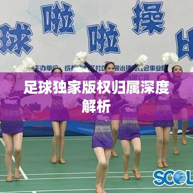 足球独家版权归属深度解析