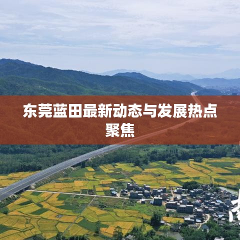东莞蓝田最新动态与发展热点聚焦