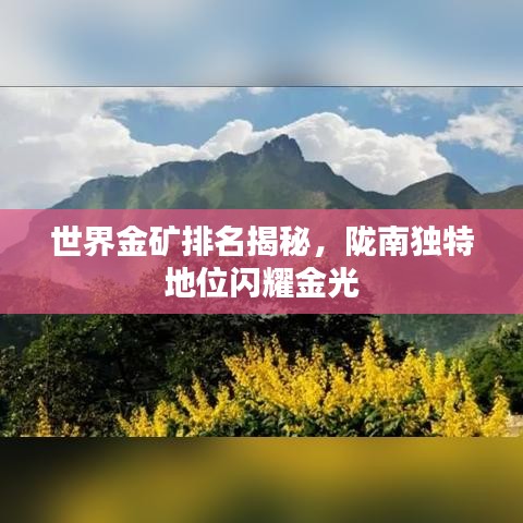 世界金矿排名揭秘，陇南独特地位闪耀金光