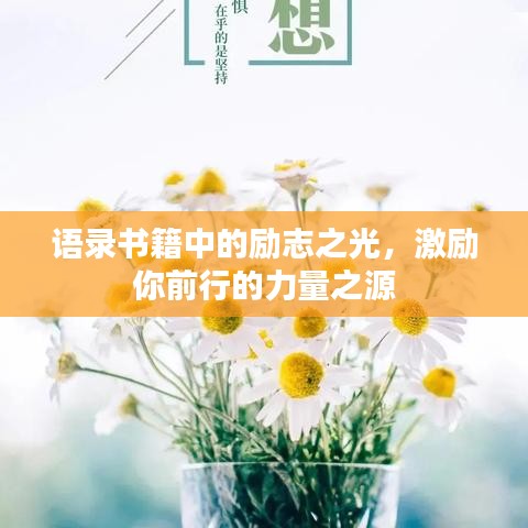 语录书籍中的励志之光，激励你前行的力量之源