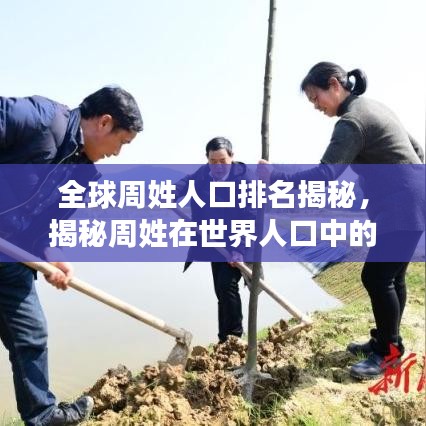 全球周姓人口排名揭秘，揭秘周姓在世界人口中的位置